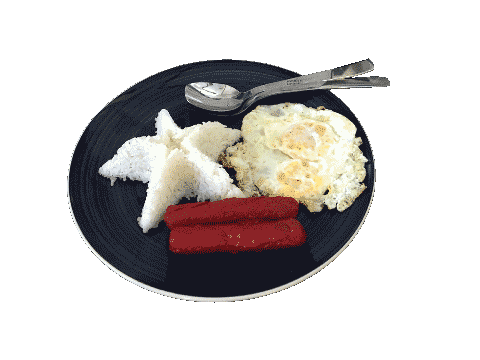 Hotsilog